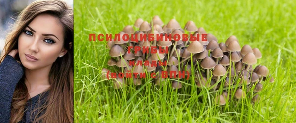 прущие крисы Каменка