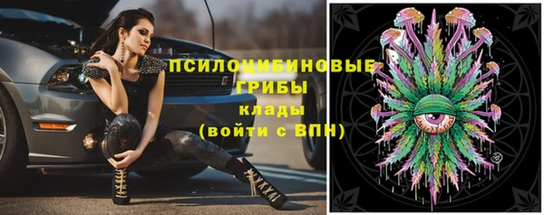 дживик Аркадак